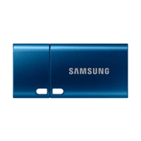 USB Flash Drives | SAMSUNG 256G Type-C USB Flash Drive - MUF-256DA | MUF-256DA/APC | ServersPlus