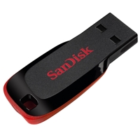 USB Flash Drives | SANDISK 32GB Cruzer Blade | SDCZ50-032G-B35 | ServersPlus