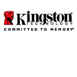 Kingston Solid State Drives (SSDs) | ServersPlus.com