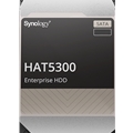 SYNOLOGY HAT5300-12T | serversplus.com