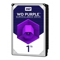 WDWD101EFBX | serversplus.com