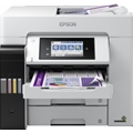 EPSON C11CJ28401BY | serversplus.com