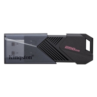 USB Flash Drives | KINGSTON  DataTraveler Exodia Onyx 256GB Portable USB 3.2 Gen 1 | DTXON/256GB | ServersPlus