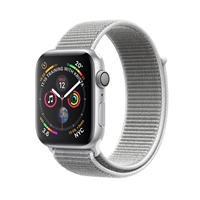 apple watch silver seashell loop