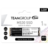 PC Internal Hard Drives & SSD | TEAM  MS30 1TB M.2 Sata (TM8PS7001T0C101) 1TB, M.2 Sata Interface, PCIe Gen3, Read 530MB/s, Write 480 | TM8PS7001T0C101 | ServersPlus