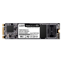 PC Internal Hard Drives & SSD | TEAM  MS30 256GB M.2 2280 SATA III SSD | TM8PS7256G0C101 | ServersPlus