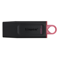 USB Flash Drives | KINGSTON  DataTraveler Exodia 256GB USB 3.2 Blk/Pink USB Flash Drive | DTX/256GB | ServersPlus