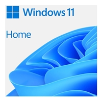Microsoft Windows OS | MICROSOFT WIN HOME 11 64-bit Eng Intl USB | HAJ-00090 | ServersPlus
