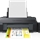 EPSON C11CD81404BY | serversplus.com